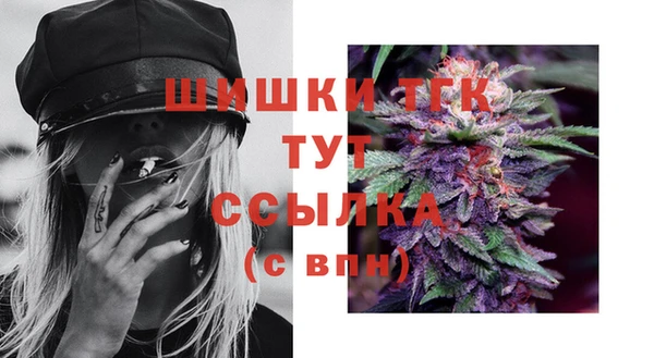 apvp Покачи