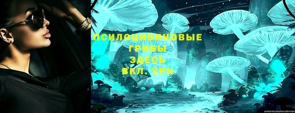 mdpv Пролетарск